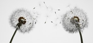 How to Instantly Click With Everyone You Meet